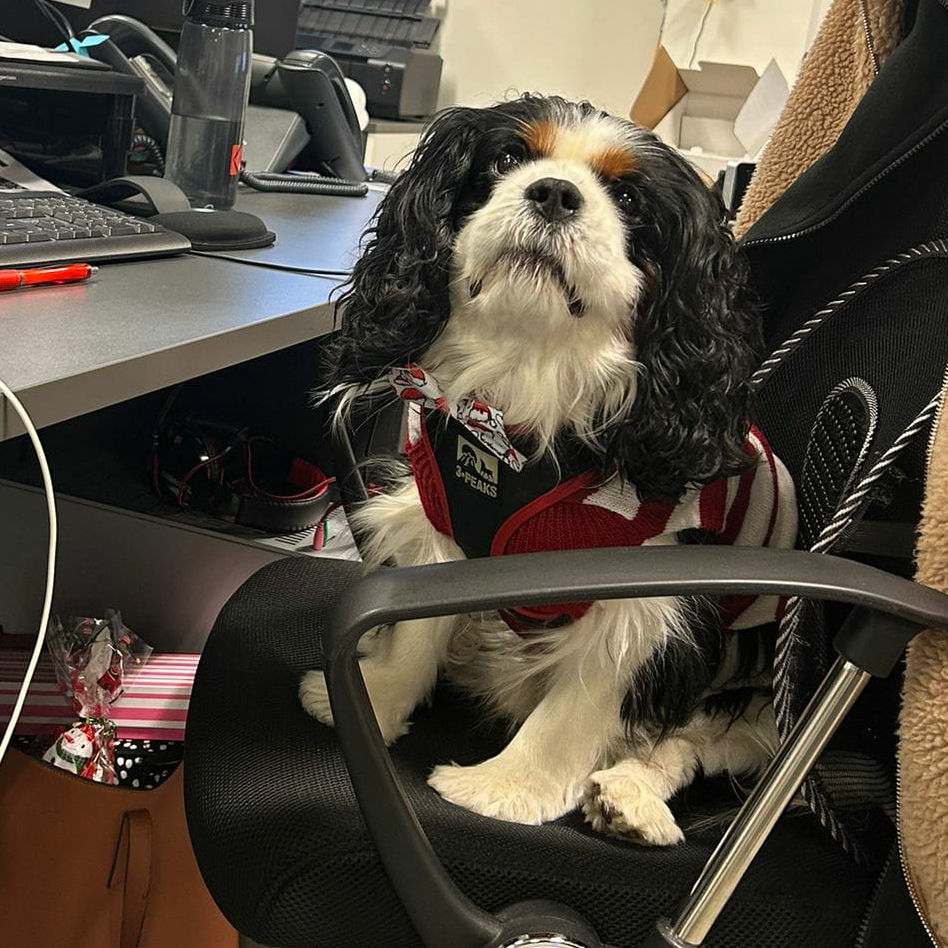 2024_2025 - Murphy - 15.jpg